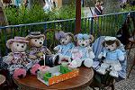 Dcim12482/DSC_4426