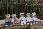 Dcim12484/DSC_4752
