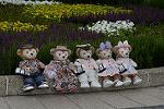 Dcim12484/DSC_4770