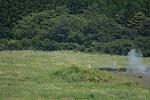 Dcim12491/DSC_5267
