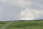 Dcim12491/DSC_5271