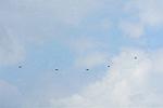 Dcim12493/DSC_5538