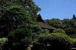 Dcim12501/DSC_6787