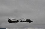 Dcim12516/DSC_6449
