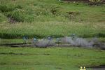 Dcim12522/DSC_8778