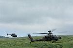 Dcim12522/DSC_8815