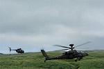 Dcim12522/DSC_8816