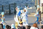 Dcim12530/DSC_9559