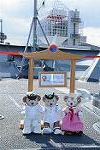 Dcim12533/DSC_9888