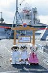 Dcim12533/DSC_9889