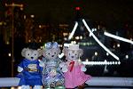 Dcim12536/DSC_0078
