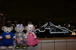 Dcim12536/DSC_0125