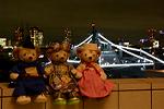 Dcim12536/DSC_0129
