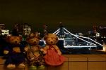 Dcim12536/DSC_0131