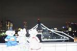 Dcim12536/DSC_0160