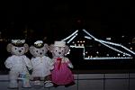 Dcim12536/DSC_0177