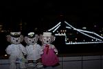 Dcim12536/DSC_0179