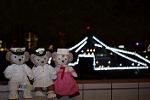 Dcim12536/DSC_0183
