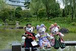 Dcim12551/DSC_0957