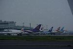 Dcim12552/DSC_1107