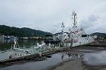 Dcim12556/DSC_1839