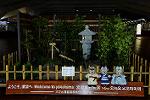 Dcim12567/DSC_3078