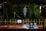Dcim12567/DSC_3080