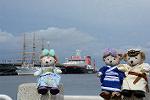 Dcim12567/DSC_3089