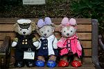 Dcim12594/DSC_6523