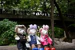 Dcim12594/DSC_6549