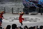 Dcim12601/DSC_7142