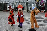 Dcim12601/DSC_7250