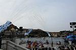 Dcim12602/DSC_7382