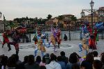Dcim12603/DSC_7466