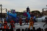 Dcim12605/DSC_7718