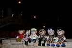 Dcim12611/DSC_8910