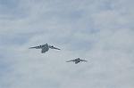 Dcim12614/DSC_7887