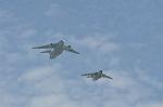 Dcim12614/DSC_7898