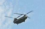 Dcim12614/DSC_7949