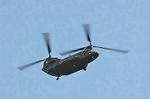 Dcim12614/DSC_7952
