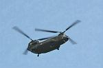 Dcim12614/DSC_7953