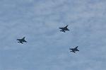 Dcim12614/DSC_7995
