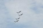 Dcim12615/DSC_8107