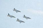 Dcim12615/DSC_8115