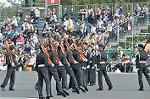 Dcim12615/DSC_8143