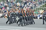 Dcim12615/DSC_8145