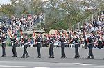 Dcim12615/DSC_8172