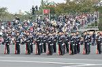 Dcim12615/DSC_8173
