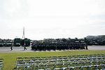 Dcim12616/DSC_8966