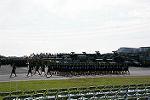 Dcim12617/DSC_9164